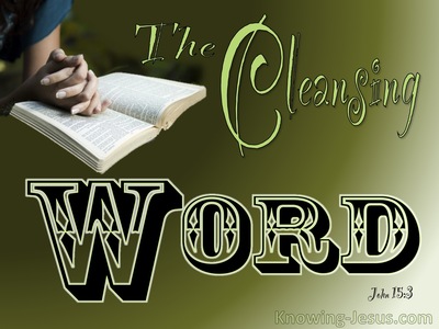 John 15:3